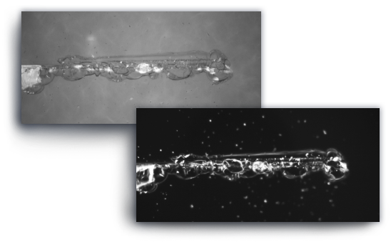 Bright-Dark-Field-Imaging-Modes-on Rtec-Instruments-Profilometer