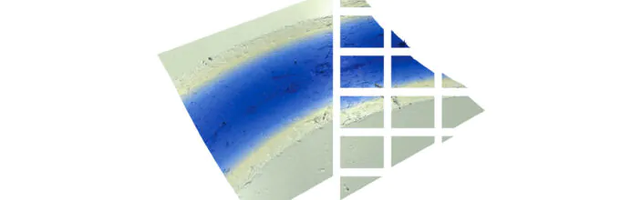 Automatic Stitching